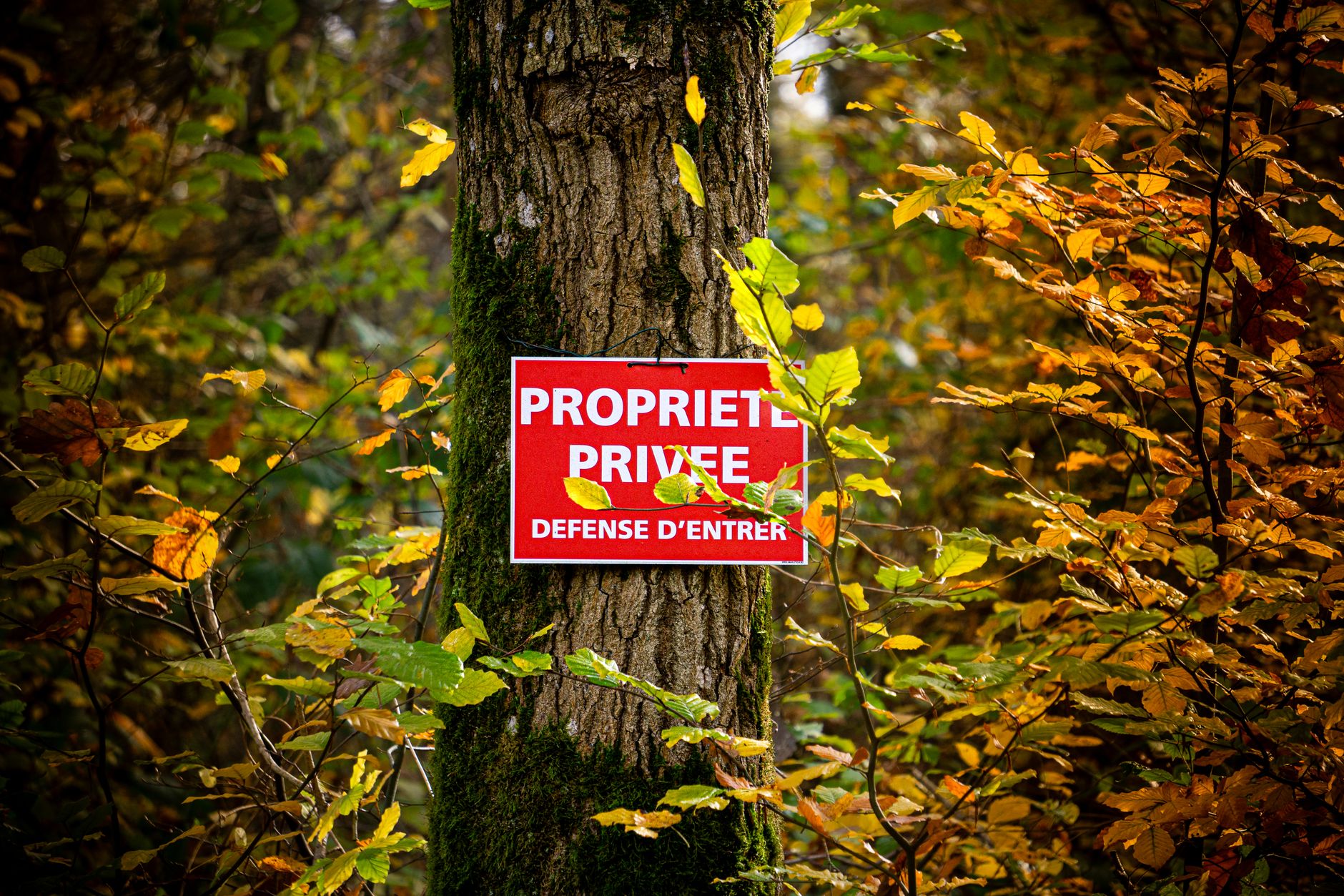 Détective privé à Massy